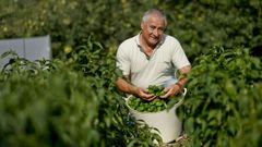 Jos� Luis L�pez, presidente de la IXP, con pimientos de la cosecha de este a�o, que ya se empez� a  recoger