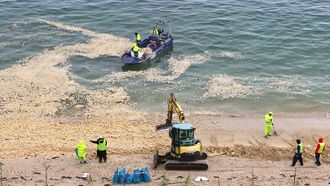 Recogida de la mancha en las playas de Moaa