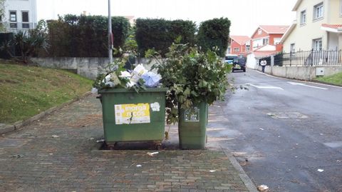 Basura en el Ayuntamiento de Oleiros
