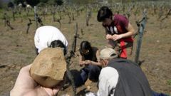 Un hallazgo �nico hasta ahora. Uno de los artefactos l�ticos descubiertos en el 2007 en el lugar de G�ndara Ch� ?en la parroquia quiroguesa de A Ermida?, el �nico yacimiento arqueol�gico del Paleol�tico que se ha registrado hasta hoy en todo el geoparque Monta�as do Courel