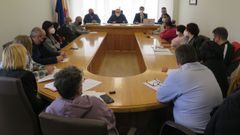 Pleno celebrado en A Laracha