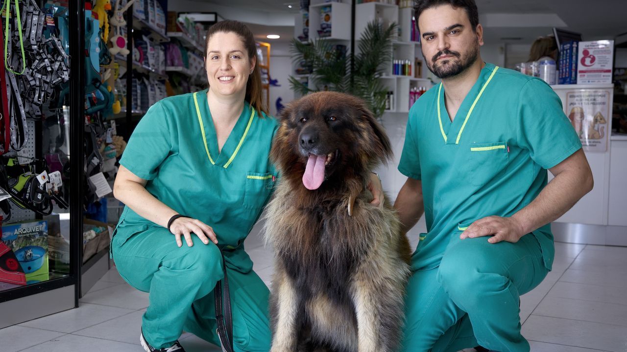 Los veterinarios tras cinco meses con la nueva ley de fármacos: «Cada día una mascota corre riesgo de morirse por falta de fármacos»