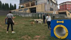 Perros en el espacio canino de Valgranda, en Avil�s