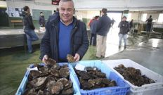 Dar�o Campos Loira, patr�n del �Zapateiro�, es uno de los cuatro armadores de Bueu que faena a la ostra en la r�a de Pontevedra. 