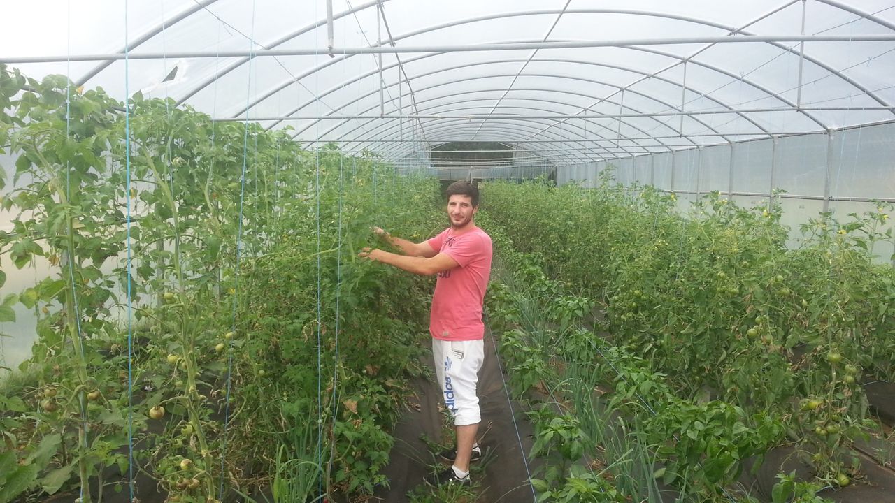 From agricultural cooperative to worker cooperative