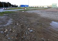 La explanada portuaria, ahora libre de eucalipto, despierta inter�s entre los empresarios. 