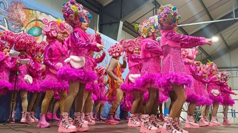 Festival de comparsas de Neda, en la edici�n del a�o pasado.