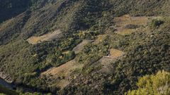 Vias cultivadas junto a monte que en su da fue viedo en la ribera de Lagares, en Vilach de Salvadur