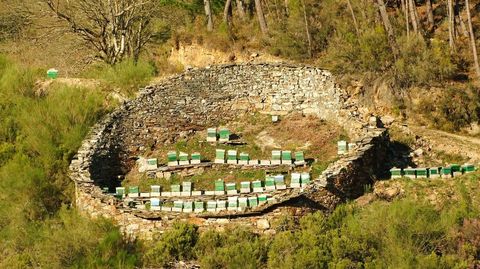 Una albariza en Parada dos Montes (A Pobra do Brolln) que cuando fue fotografiada hace diez aos tena dentro un colmenar en produccin