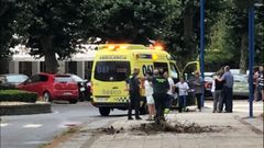 En la imagen se puede ver la rama que golpe� mortalmente a la mujer
