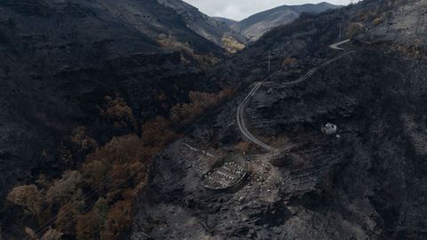 Imagen de uno de los incendios que se registraron en Ourense el pasado verano