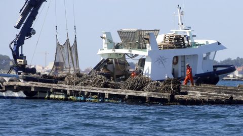 Solo en el sector mejillonero trabajan ahora unas 1.600 mujeres, algunas en bateas como esta de la ra de Arousa 