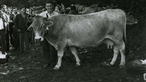 Valentn Vega. Retrato con vaca en una feria de ganado, Pola de Laviana, 1950