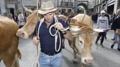 VIII Desfile de Gando de San Froilan
