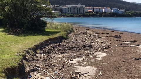 Cientos de troncos, ramas y restos de biomasa forestal cubren estos d�as por completo playas de O Vicedo, como la de Porto (Fomento), en imagen