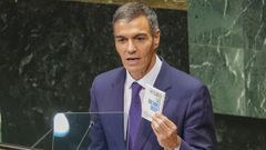 Pedro S�nchez durante su discurso en la ONU.