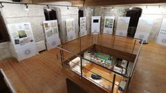 Exposici�n sobre Pardo de Cela en Alfoz