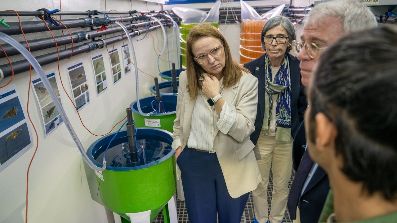 Nace Acuiregal, primera unidad mixta de CSIC y empresas para impulsar la acuicultura regenerativa en Galicia