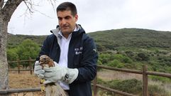 Gabriel Aln soltando un guila ratonera en A Lastra. 