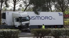 Imagen del cami�n que caus� el accidente en Los Palacios