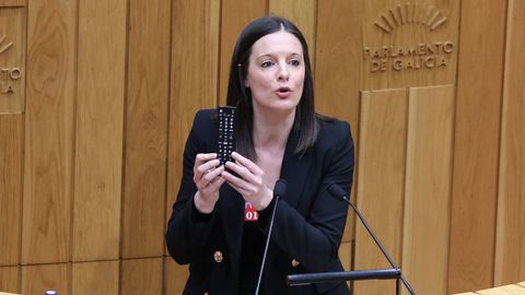 Olalla Rodil, nunha intervencin no Parlamento