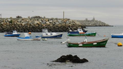 En plena actividad, uno de los participantes, con su gu�a, y alguno de los artistas fot�grafos. 
