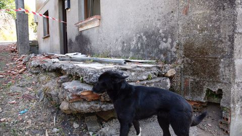 El di despus a la explosin mortal en Tui