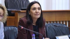 La diputada Carmen Rodr�guez Dacosta ha afeado a la Xunta la falta de prevenci�n en materia de incendios