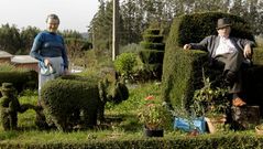 Las virguer�as en mirto de Amparo �manostijeras�