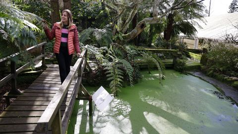 La Fundaci�n Sales jard�n bot�nico abre temporada. 