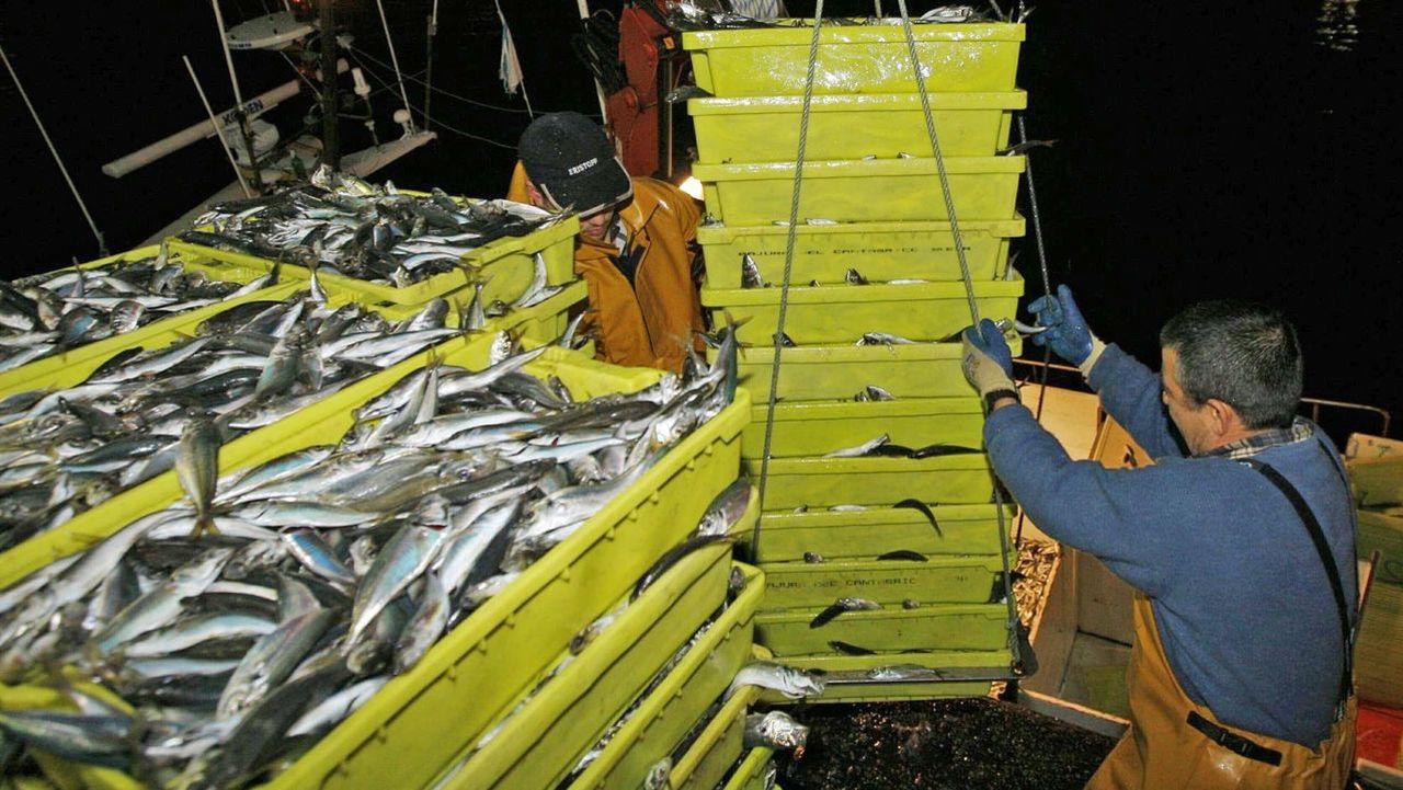 Un mes para pedir ayudas de entre 2.200 y 22.700 euros por los paros del pulpo y del jurel
