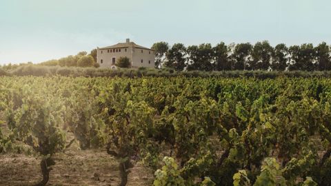 Castell de la Bleda, finca dedicada al cultivo de la moneu para Clos Ancestral en el Pened�s