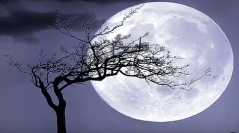 Eclipse lunar del 10 de febrero