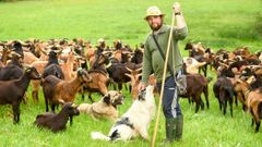 Isa�as Medela, junto a su reba�o de cabras y a dos de sus perros, en Vilatuxe.