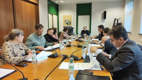 En la cabecera de la mesa en la imagen, la directora del IPRL, Miryam Hern�ndez, que ha presidido la reuni�n en sustituci�n del consejero Borja S�nchez