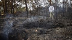 Imagen de archivo de una zona afectada por un incendio.