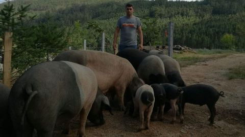 Nando L�pez Garc�a. Mondo�edo. Este joven de 36 a�os trabaja en la comercializaci�n y distribuci�n de pescado, pero espera poder dedicarse al completo en unos a�os al porco celta, una actividad en la que se introdujo en el 2018. Actualmente tiene una explotaci�n mixta en extensivo.