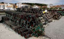Nasas de pulpo amontonadas en Camari�as donde se capturaron 119 kilos en una semana. 