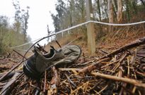 La zona precintada por la polic�a se encuentra a escasos metros de la N-541 y del r�o L�rez. 