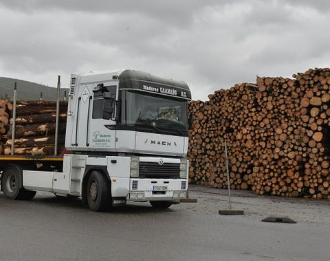 Cargamento de madera en el puerto de Brens. 
