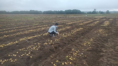 Recogida de muestras en la finca Antela.