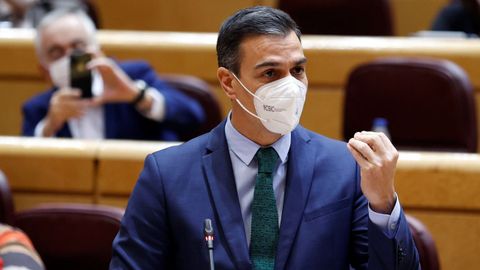 Pedro Snchez, durante su intervencin en el Senado este martes