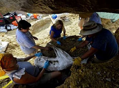 Especialistas trabajando en una excavacin arqueolgica de Ellis County, en Italy (Texas). 