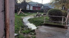 Zona verde en la R�a Ribeiri�o.