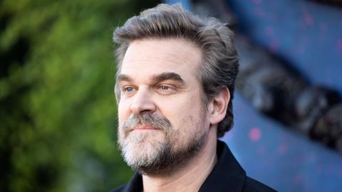 David Harbour, el pasado mes de mayo