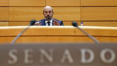 El presidente del Senado, Pedro Roll�n