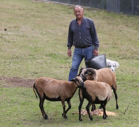 Manuel Soto, el presidente, con las nuevas ovejas de Camer�n. 