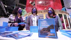 La conselleira de Medio Ambiente, Territorio e Vivenda, �ngeles V�zquez, en el estand de Galicia en Fitur.
