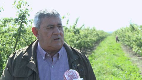 El secretario general de UPA reclama un cambio en el reparto de fondos de la PAC para compensar al damnificado por el coronavirus