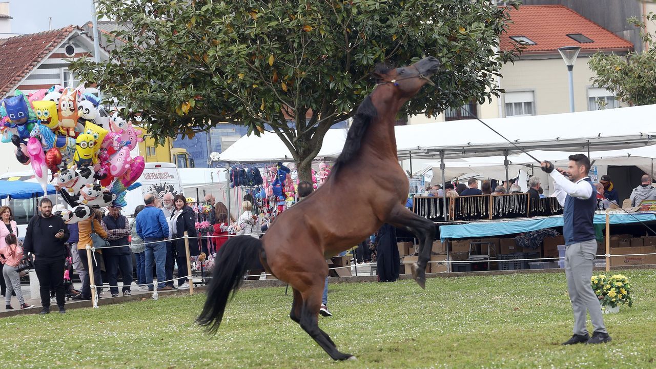 Qué hacer el fin de semana en Barbanza: protagonismo para el San Marcos de Noia y los conciertos